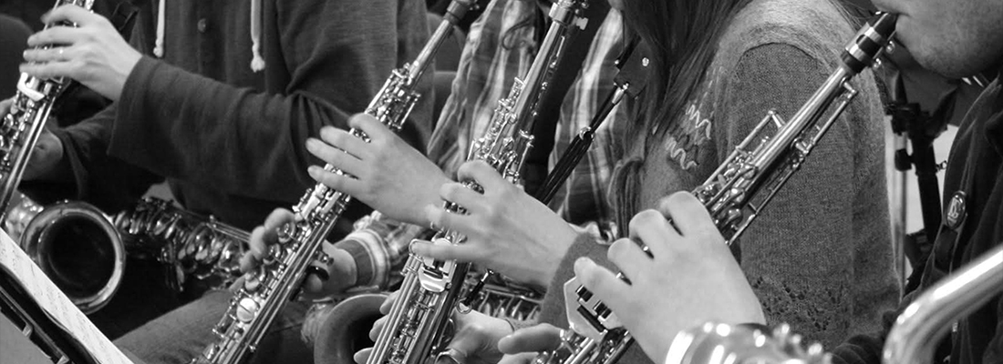 big band dom pod vodstvom braca doblekarja z gosti